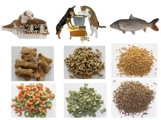 3000 KG Fischfutter-Extruder aus Edelstahl 201 304 für eine verbesserte Futterumwandlung