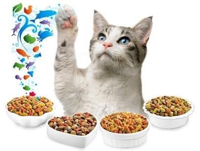 1000 kg/h Kapazität Automatische vielseitige Hundefutterproduktion für vielseitige Lösungen