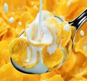 Kernkomponenten Pumpe Mais Frühstücksgetreide Maschine maßgeschneidert