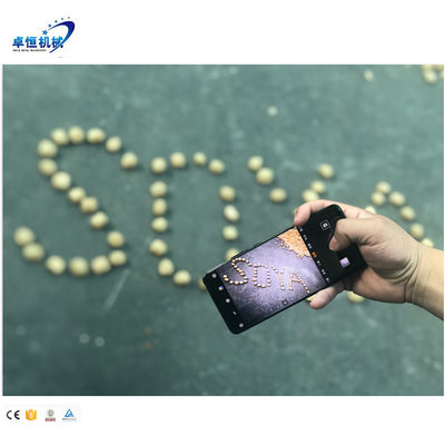 Hochgeschwindigkeits-automatische kleine Proteinfaser-Vegetarier-Lebensmittel-Produktionslinie für Lebensmittel 3000 KG