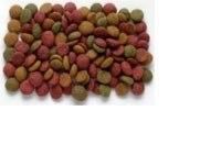 Sinking Pet Food Fischfutter Pellet Herstellung Twin Screw Extruder Maschine für Pellet-Anlage