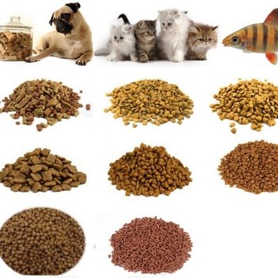 Video-Ausgangsinspektion zur Verfügung gestellt Mixer für Tierfutter-Produktionslinie für einfache Bedienung