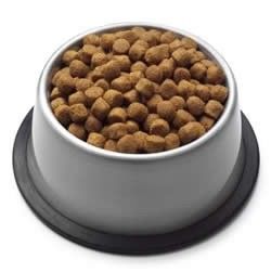 Multifunktionale Trocken-Kibble-Extrusionsgeräte für Tierfutter für Lebensmittel- und Getränkeanlagen
