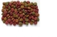 Kleines Aquarium Schwebendes Fische Lebensmittel Pellet Produktionslinie Herstellung Verarbeitung Extruder Maschine