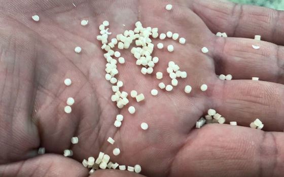 Maschine zur Herstellung von Makkaroni für die kleine Produktion mit einer Kapazität von 50 kg/h und einfacher Bedienung